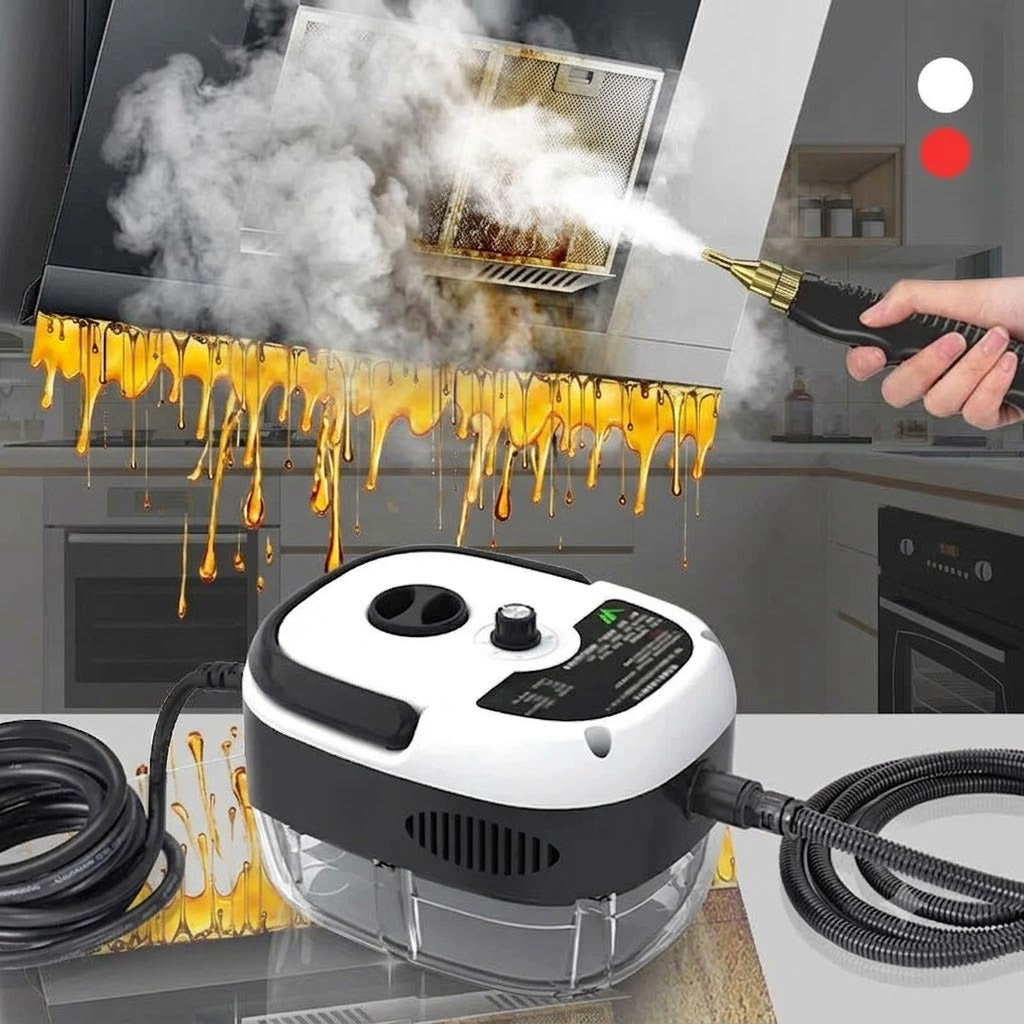 Bärbar Ångrengörare 2500W