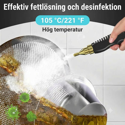 Bärbar Ångrengörare 2500W