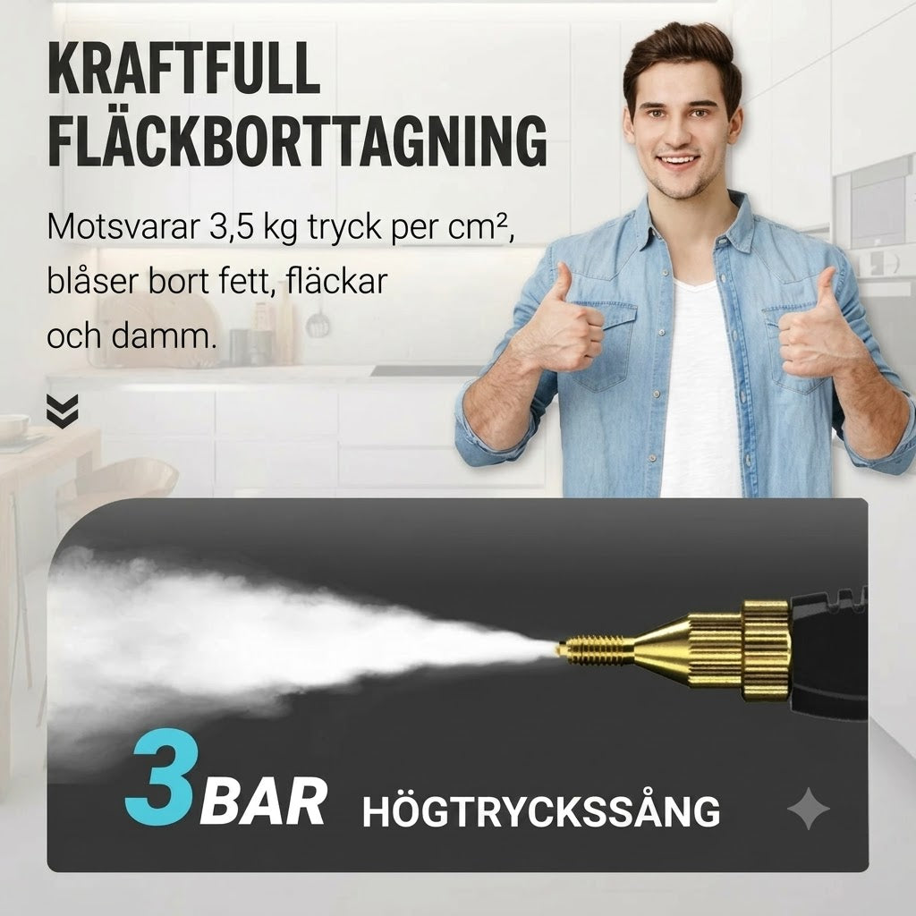 Bärbar Ångrengörare 2500W