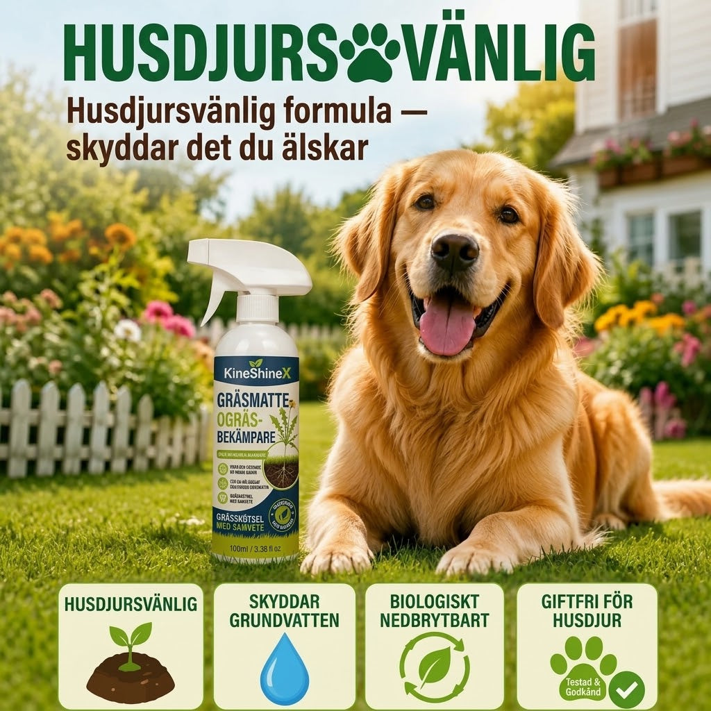 Ogräsborttagare för trädgården