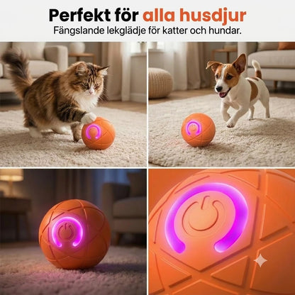Automatisk studsboll för husdjur