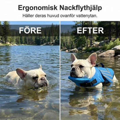 Flytväst för hundar med änglavingar