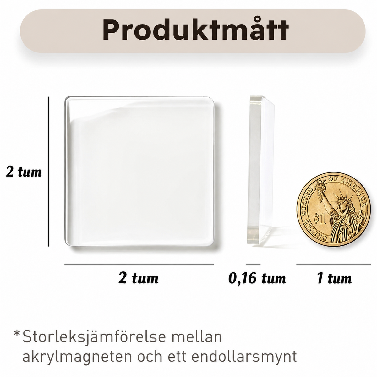 Set med 10 fotomagneter