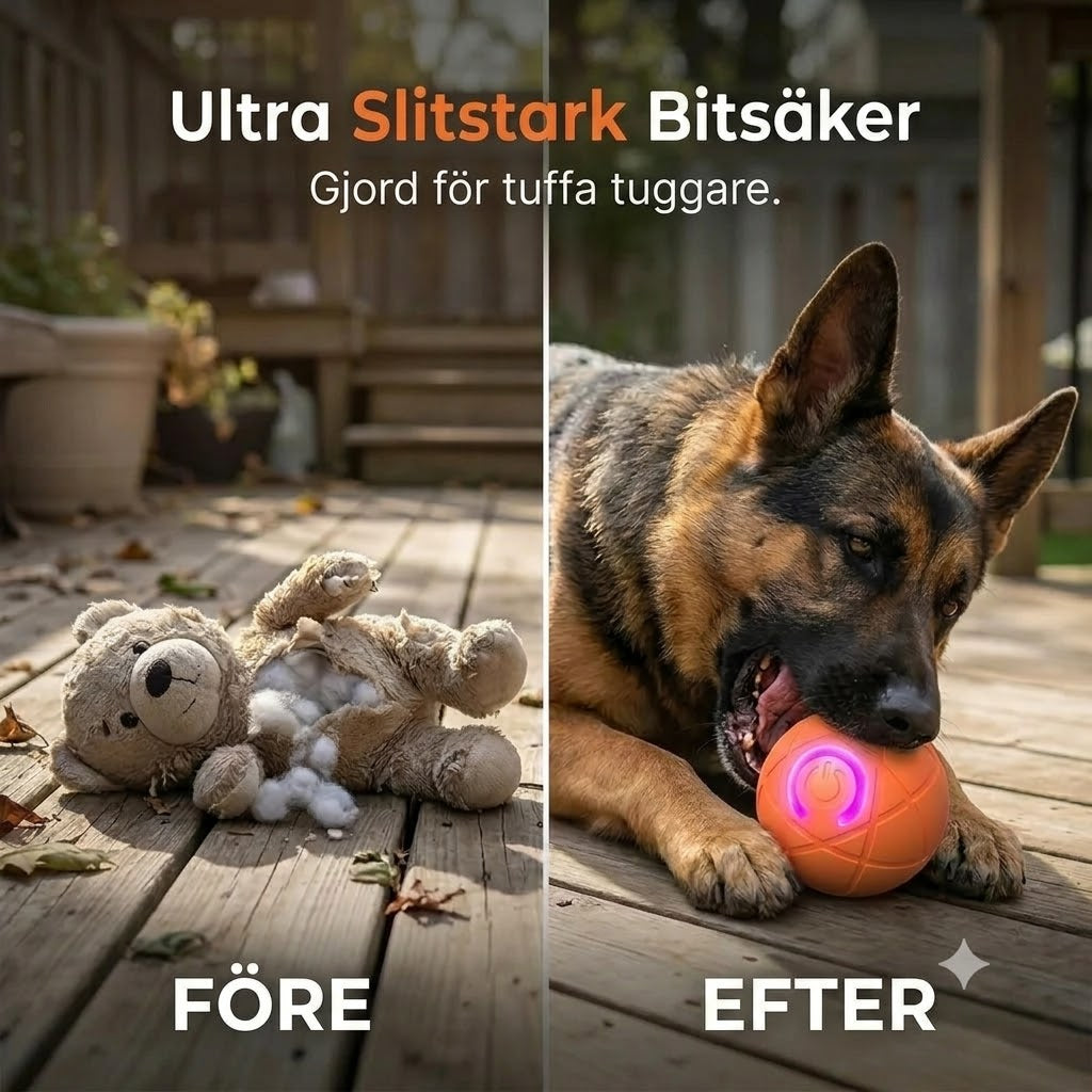 Automatisk studsboll för husdjur