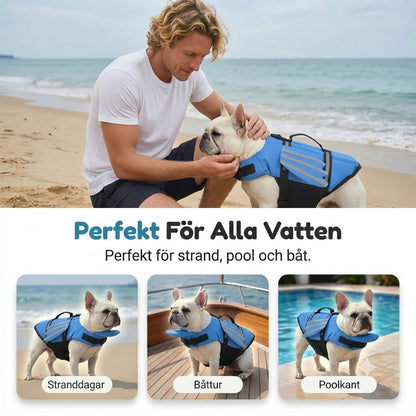 Flytväst för hundar med änglavingar