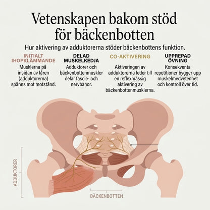 Motståndstränare för bäckenbotten och insida lår
