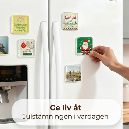Set med 10 fotomagneter