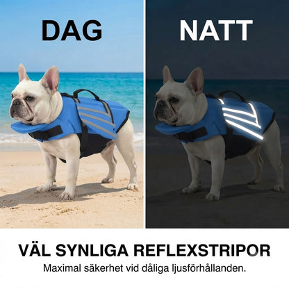 Flytväst för hundar med änglavingar