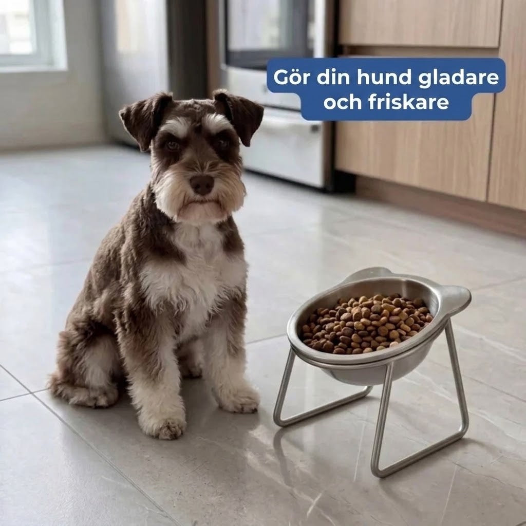 Ergonomisk upphöjd matskål för husdjur
