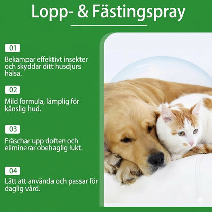 Naturlig fästing- och loppspray för hund och katt