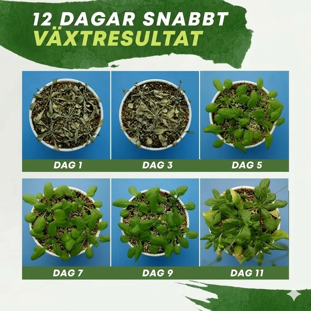 Växtnäring