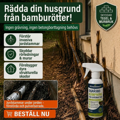 Ogräsborttagare för trädgården