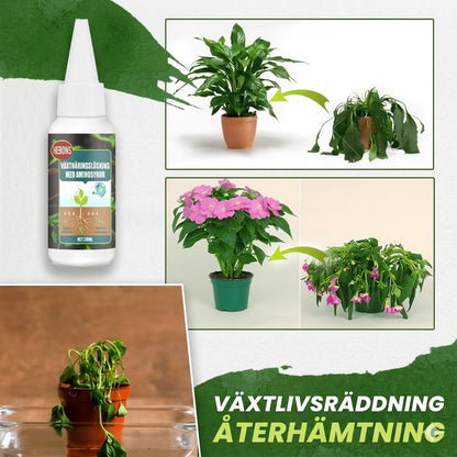 Växtnäring