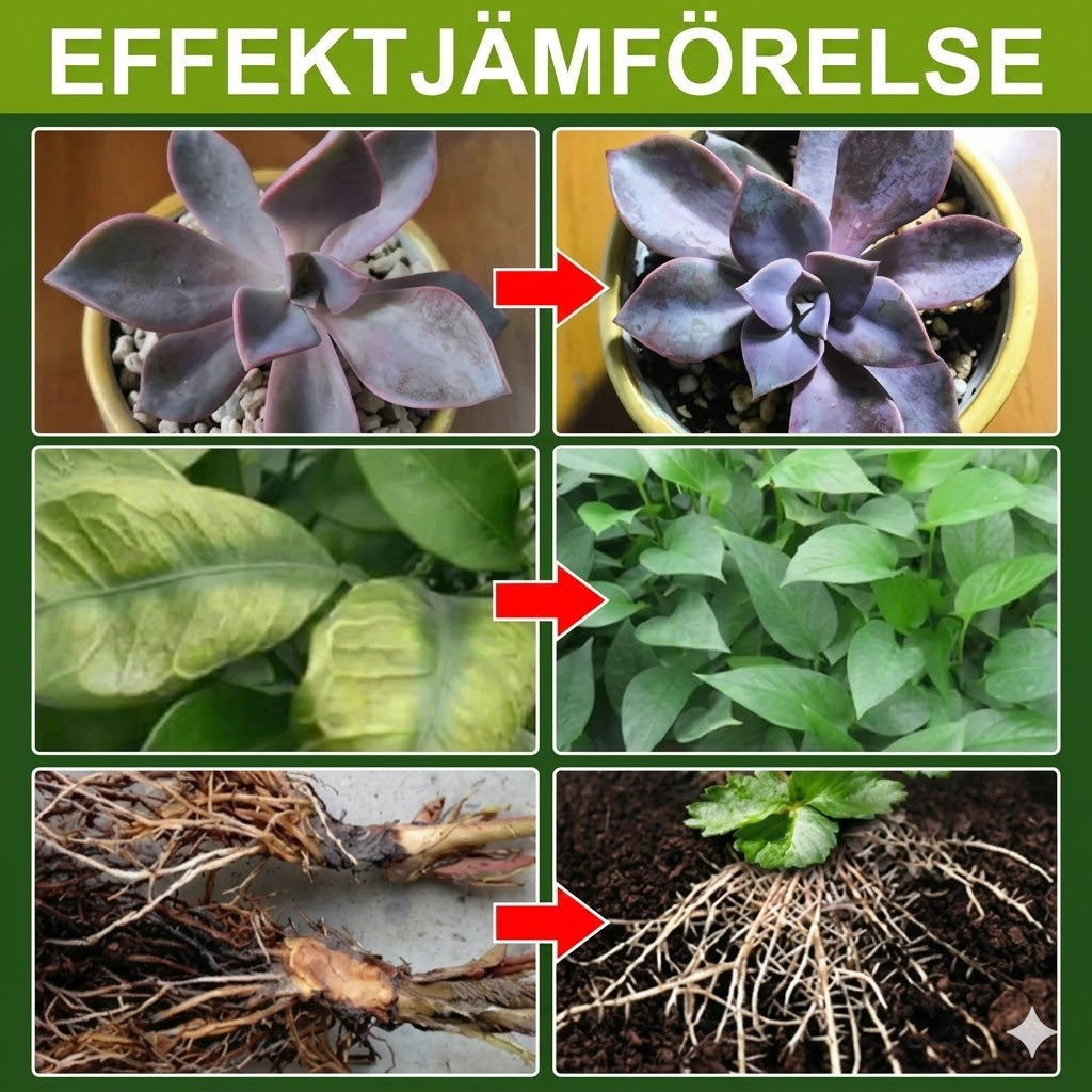 Växtnäring