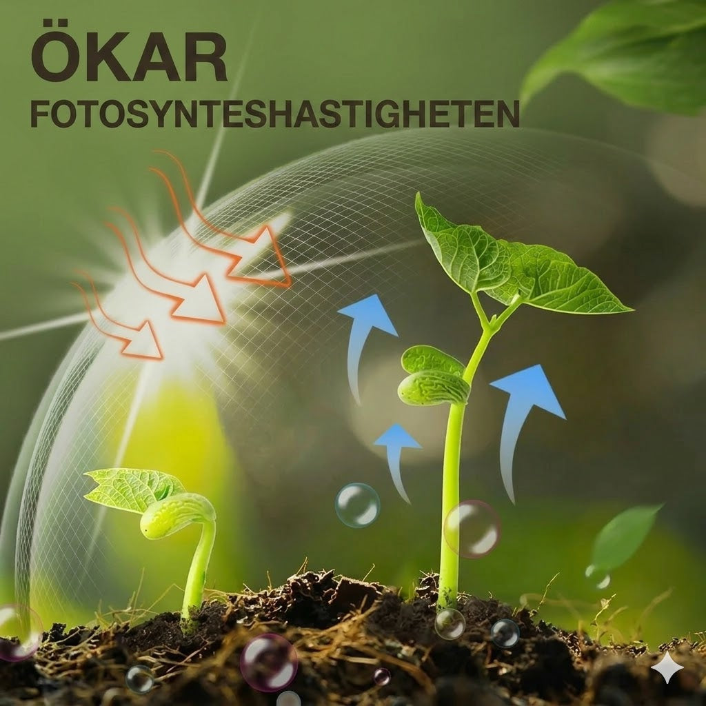 Växtnäring