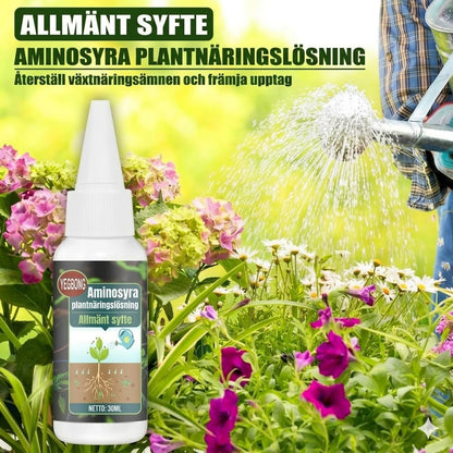 Växtnäring