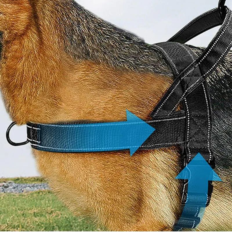 Robust taktisk hundsele med handtag