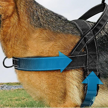 Robust taktisk hundsele med handtag