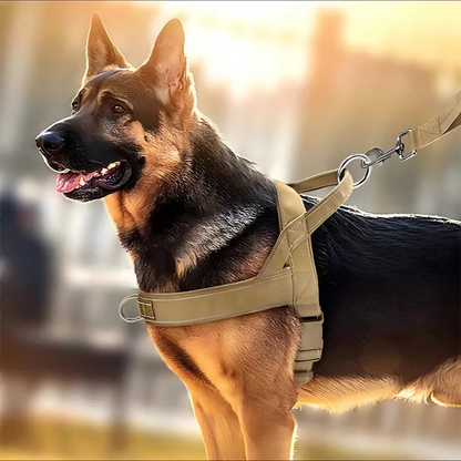 Robust taktisk hundsele med handtag