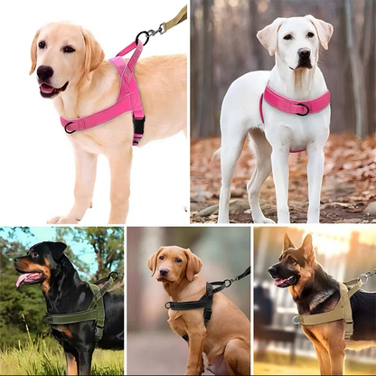 Robust taktisk hundsele med handtag