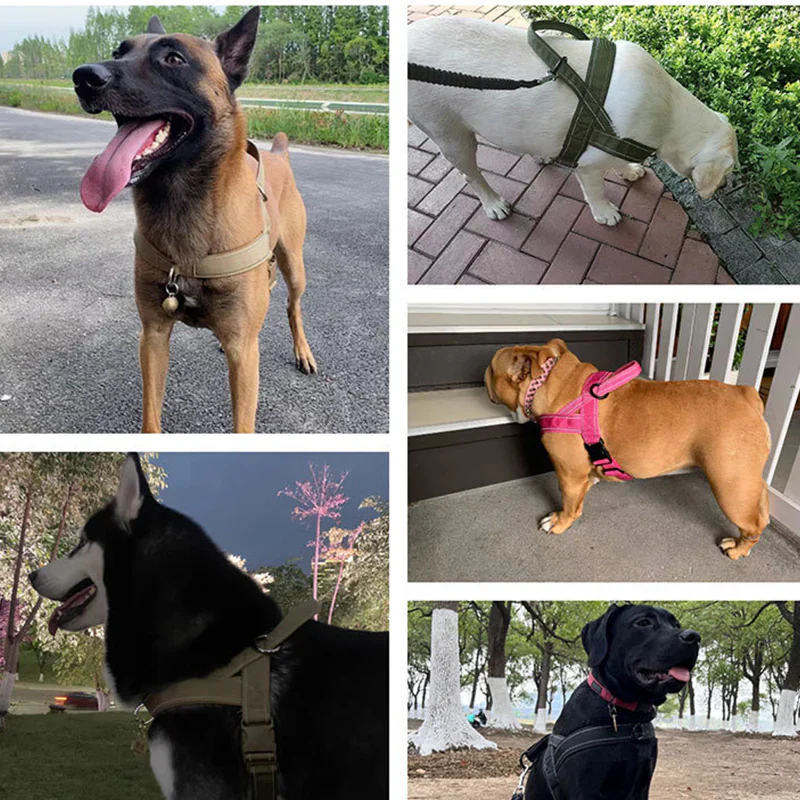 Robust taktisk hundsele med handtag
