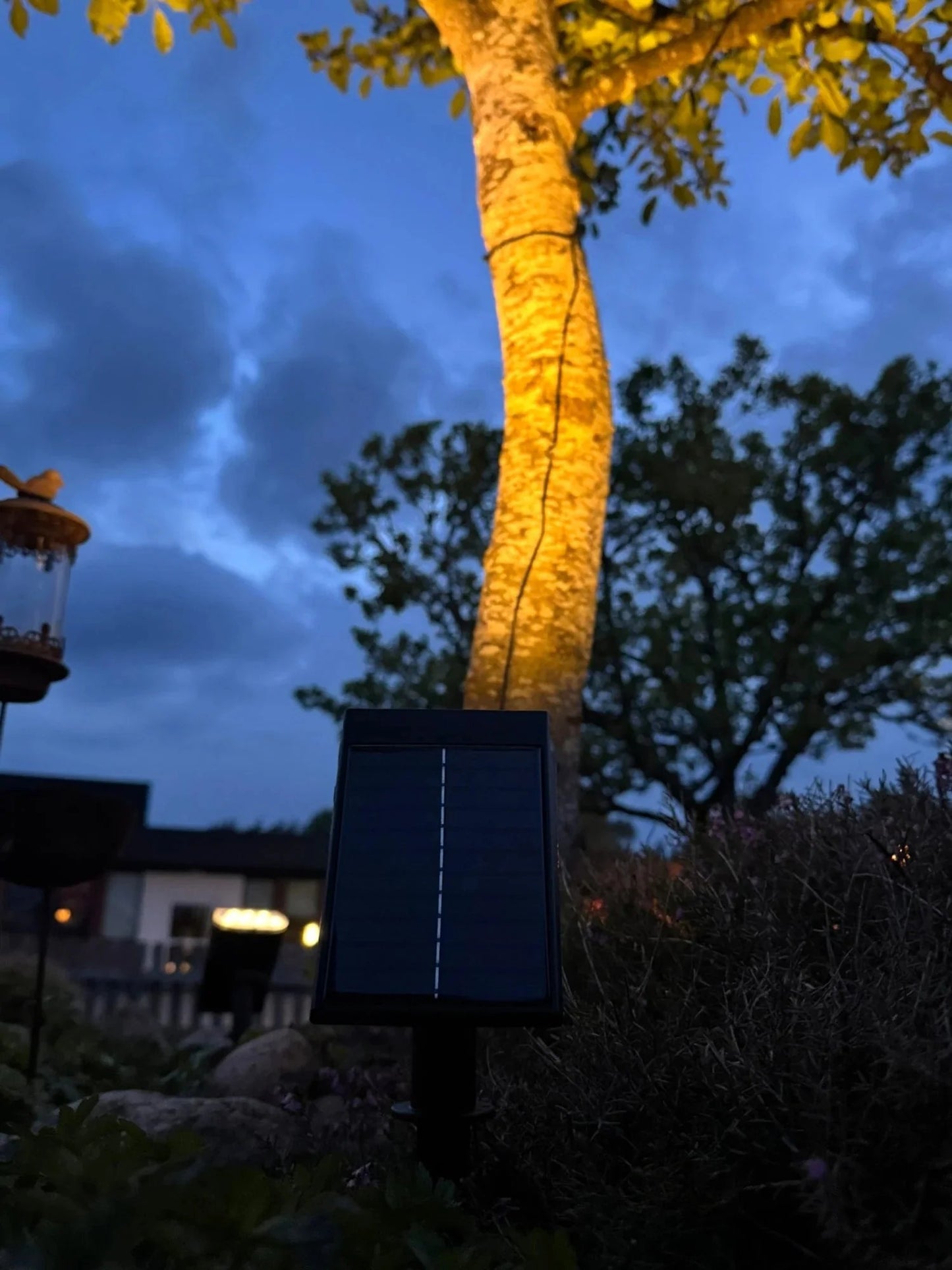Solcellslampa för trädgården